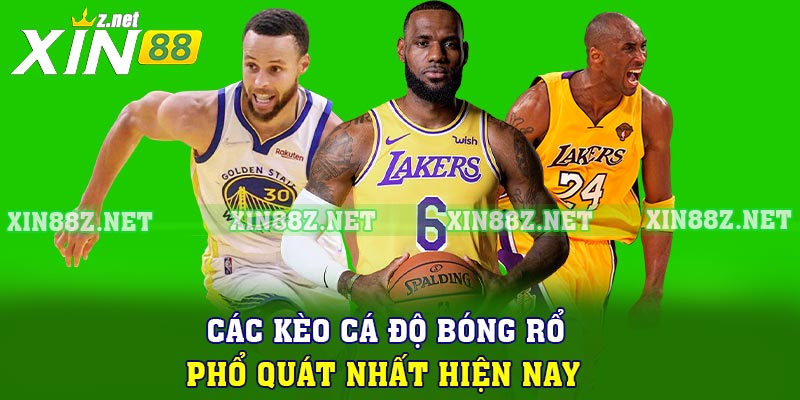 Các kèo cá độ bóng rổ phổ quát nhất hiện nay