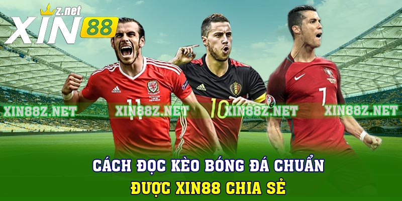 Cách Đọc Kèo Bóng Đá Chuẩn Được Xin88 Chia Sẻ