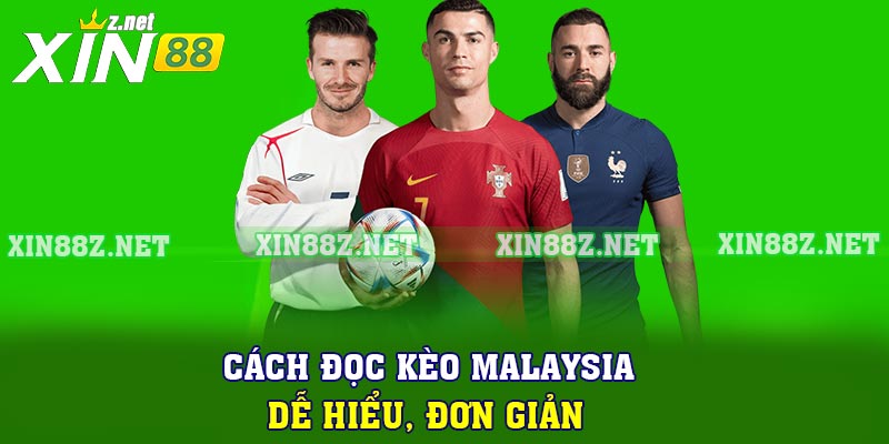 Cách đọc kèo Malaysia dễ hiểu, đơn giản