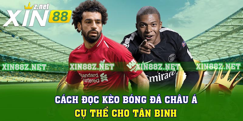Cách đọc kèo bóng đá châu Á cụ thể cho tân binh