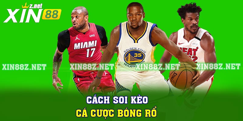 Cách soi kèo cá cược bóng rổ