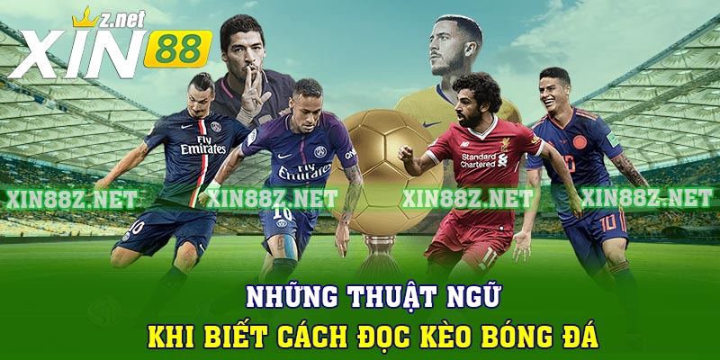Những thuật ngữ khi biết cách đọc kèo bóng đá