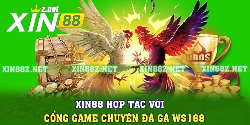 XIN88 hợp tác với cổng game chuyên đá gà WS168