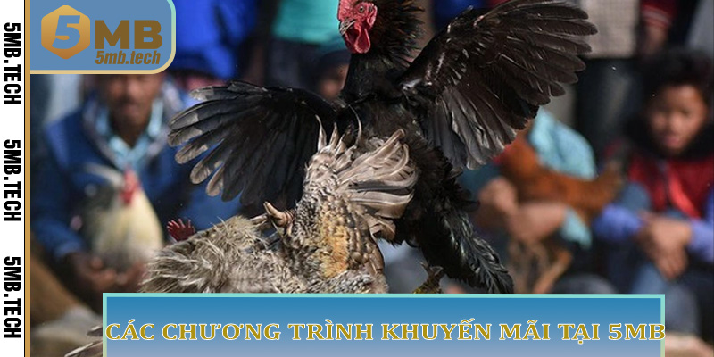 Các Chương Trình Khuyến Mãi Tại 5MB