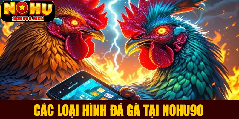 Các loại hình đá gà tại NOHU90