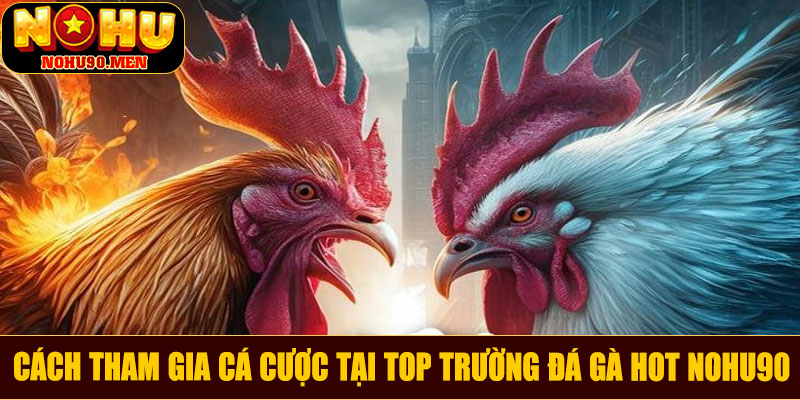 Cách tham gia cá cược tại top trường đá gà hot NOHU90