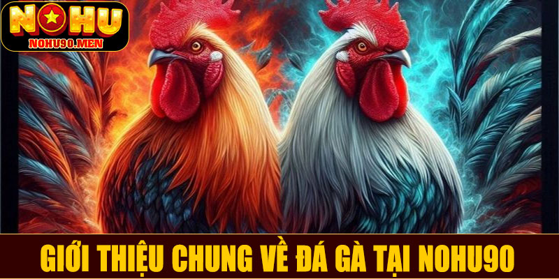 Giới thiệu chung về đá gà tại NOHU90