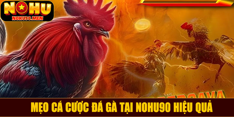 Mẹo cá cược đá gà tại NOHU90 hiệu quả