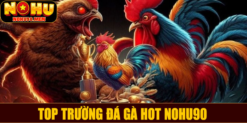 Top trường đá gà hot NOHU90 – Sân chơi đẳng cấp cho tín đồ gà chiến 2025